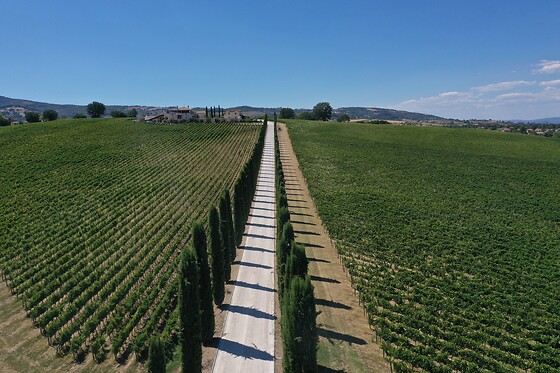 Fattoria Colsanto - photo 2