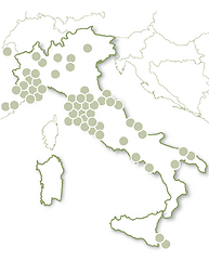 Insolito - Evasione da sogno