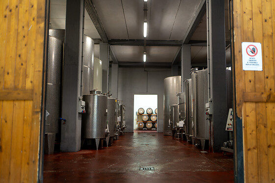 Azienda Agricola Villa Simone - photo 2