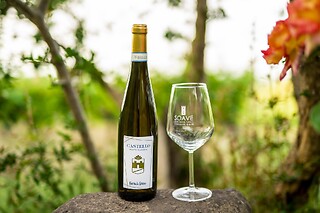 Visita alla cantina e degustazione di vini presso Cantina Castello in provincia di Verona