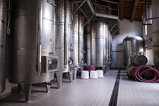 Visita alla cantina e degustazione di vini presso Cantina Castello in provincia di Verona