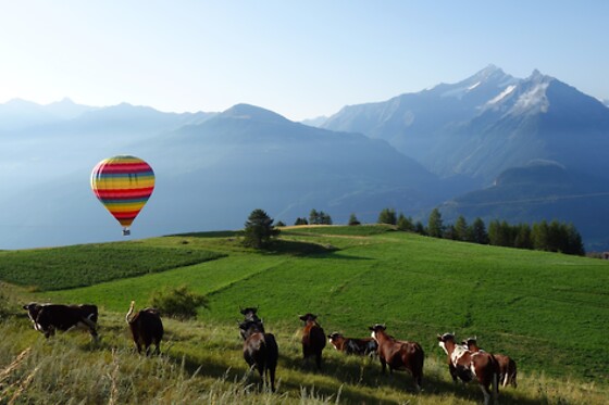 Volo in mongolfiera presso Charbonnier Mongolfiere ad Aosta