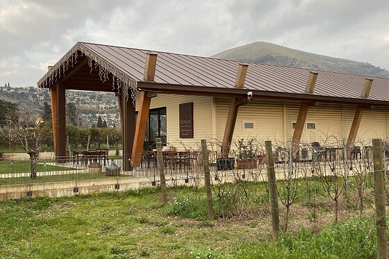Azienda Agricola Biologica D'Ausilio - photo 0