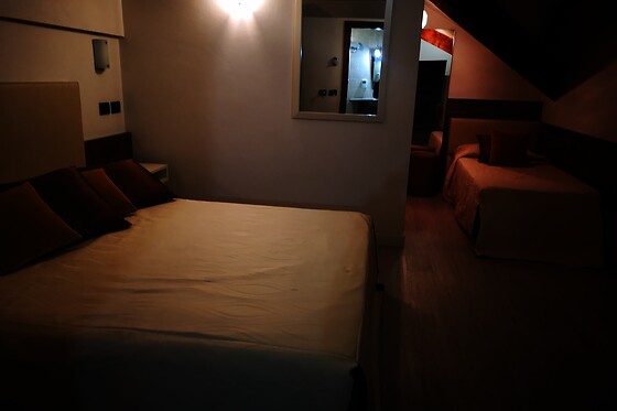 Hotel Le Palme - photo 4