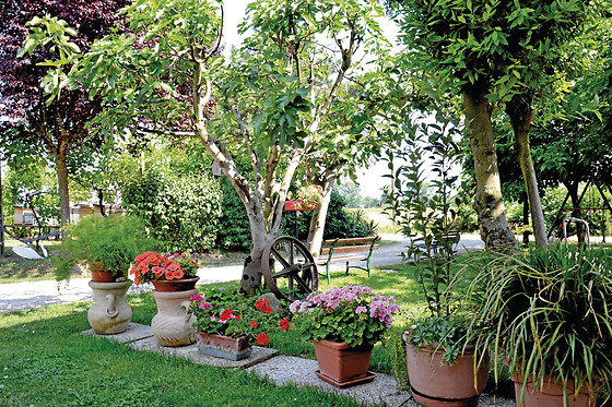 L'ALVEARE Foresteria Lombarda - photo 4