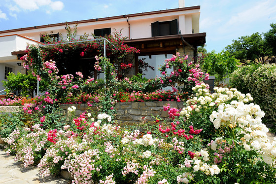 Il Giardino di Valentina - photo 4