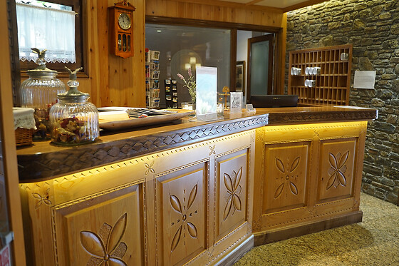 ABBA ORDINO BABOT HOTEL - photo 4