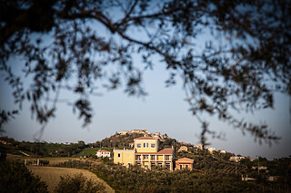 Visita alla cantina e ai vigneti con degustazione di vini presso D'Alesio Sciarr in provincia di Pescara