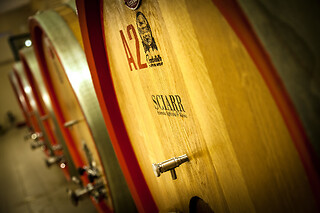 Visita alla cantina e ai vigneti con degustazione di vini presso D'Alesio Sciarr in provincia di Pescara