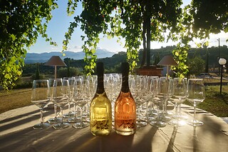 Visita alla cantina e ai vigneti con degustazione di vini presso D'Alesio Sciarr in provincia di Pescara