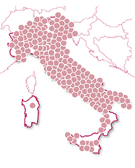 Degustazioni & sapori unici