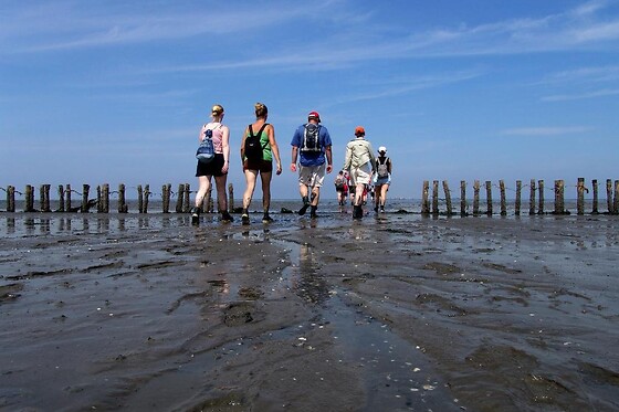 Hotel Waddengenot - photo 6