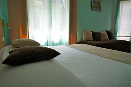 Rex Hotel***