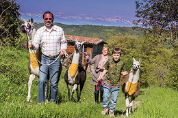 Abbadia Borgo del Sole