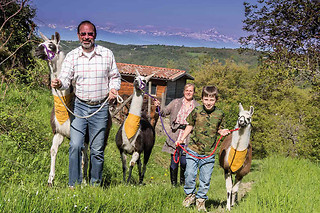 Una divertente passeggiata con i lama presso Abbadia Borgo del Sole in provincia di Cuneo