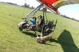 Flying Fox