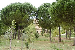 ALBARAZZA   TRIGONA ADELE & C. s.r.l. - Villa Trigona