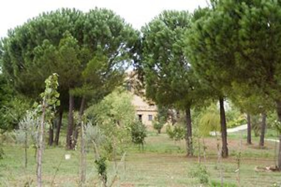 ALBARAZZA   TRIGONA ADELE & C. s.r.l. - Villa Trigona - photo 2