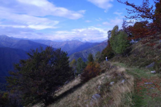 B&B Ianua Coeli - photo 15